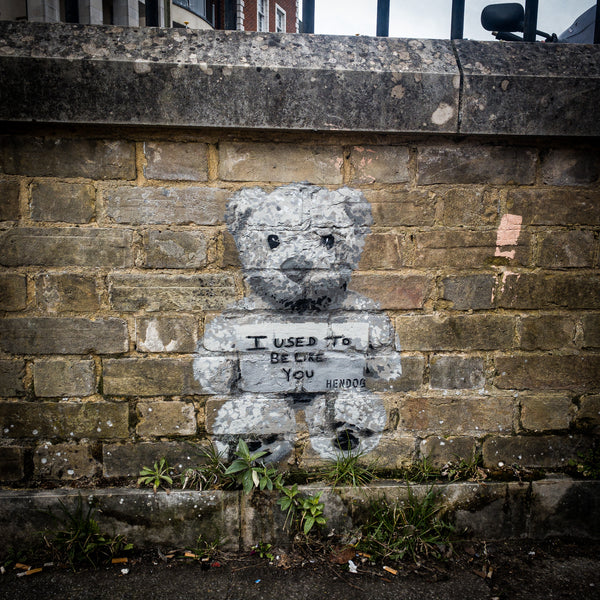 Lost Bear.